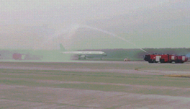 6.gif